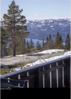 Nydelig hytte ,Kyrkjebygdheia, 800 m oh